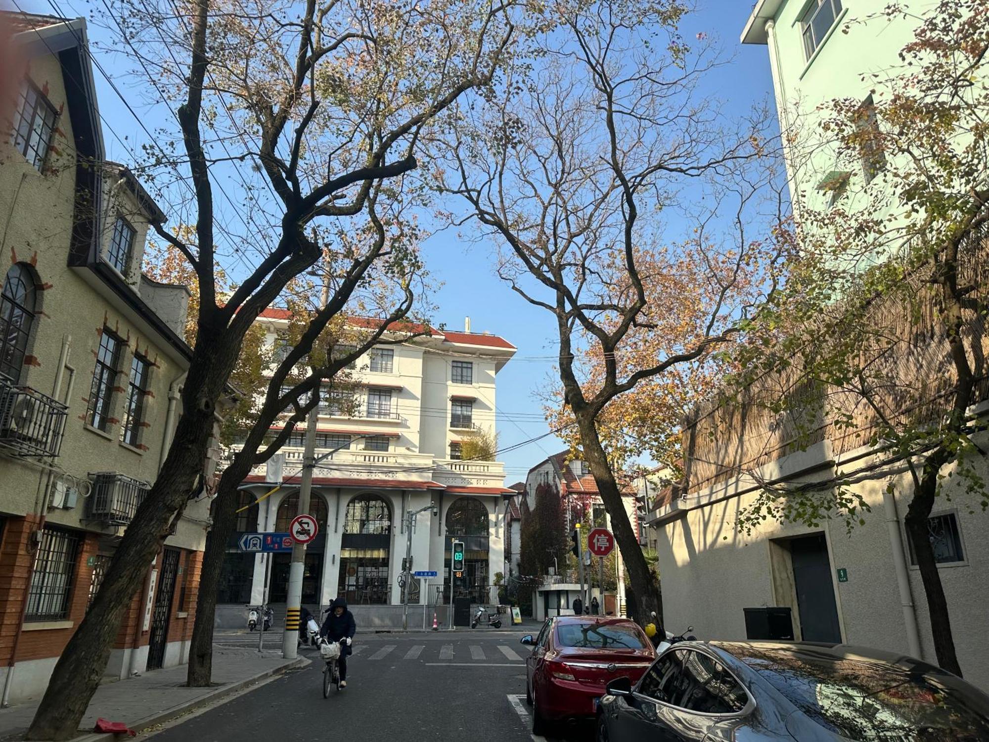 Villa With Perfect Garden In Xuhui Nearby Art Museum